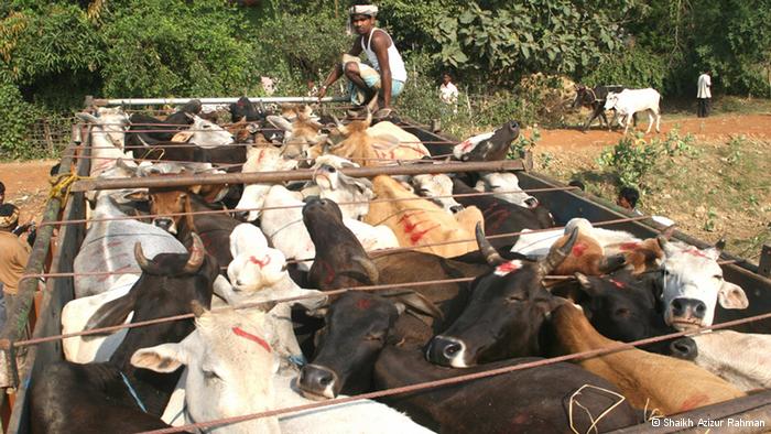 livestock trading in india